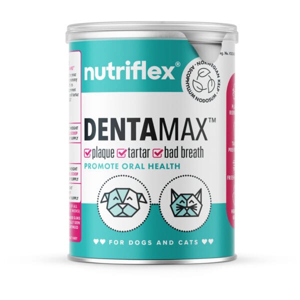 NutriFlex DentaMax Dental Powder for Dogs and Cats - 180g can. Promotes oral health by targeting plaque, tartar, and bad breath. Features Norwegian kelp. Ideal for maintaining clean teeth and healthy gums in pets.