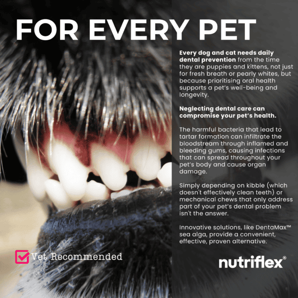 Close-up of a dog's teeth with text emphasizing the importance of daily dental prevention for every pet. Highlights NutriFlex DentaMax as a vet-recommended solution for reducing plaque, preventing tartar, and promoting oral health.