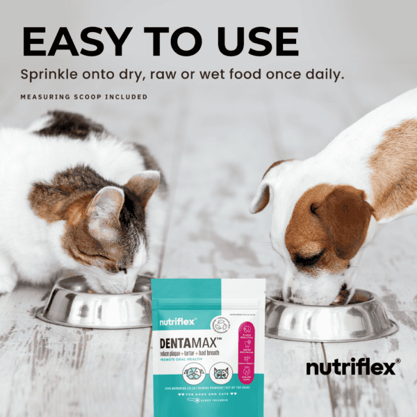 Cat and dog eating from bowls with NutriFlex DentaMax dental powder package in the foreground. Easy to use, sprinkle onto dry, raw, or wet food once daily to reduce plaque, tartar, and bad breath.