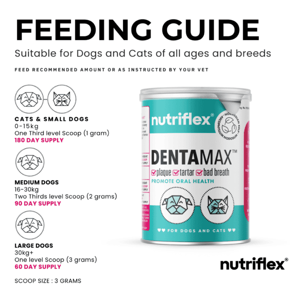 Feeding guide for NutriFlex DentaMax dental powder for dogs and cats, showing dosage instructions based on pet weight categories. Suitable for all ages and breeds, promoting oral health by reducing plaque, tartar, and bad breath.