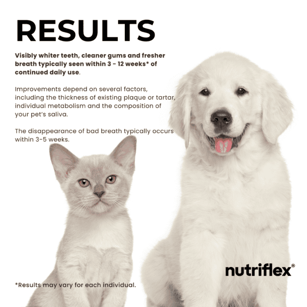 Kitten and puppy sitting side by side, with text describing the results of using DentaMax dental powder: whiter teeth, cleaner gums, and fresher breath typically seen within 3-12 weeks of daily use.