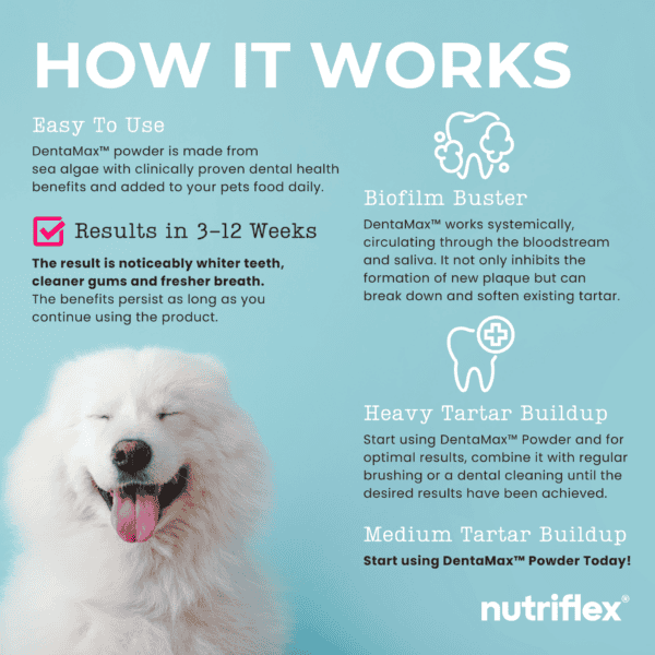 Happy white dog with text explaining how DentaMax dental powder works, highlighting its ease of use, sea algae ingredients, and results in 3-12 weeks. Benefits include reducing plaque, tartar, and bad breath for healthier gums and whiter teeth.