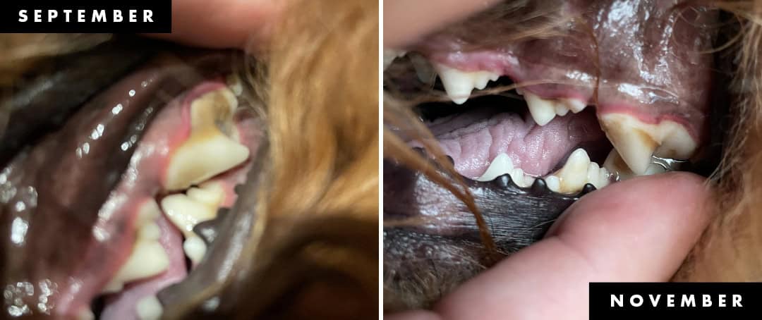 DentaMax-Before-and-After