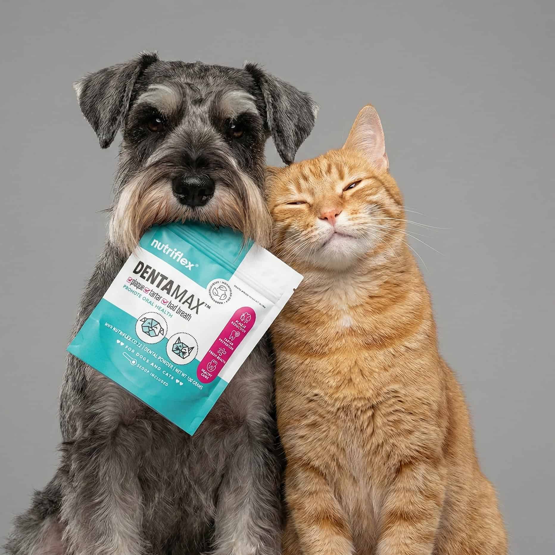 DentaMax-Dental-Powder-for-Dogs-and-Cats-in-South-Africa