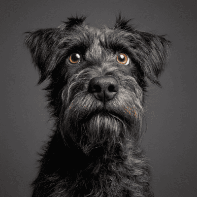 Image for choice number 1