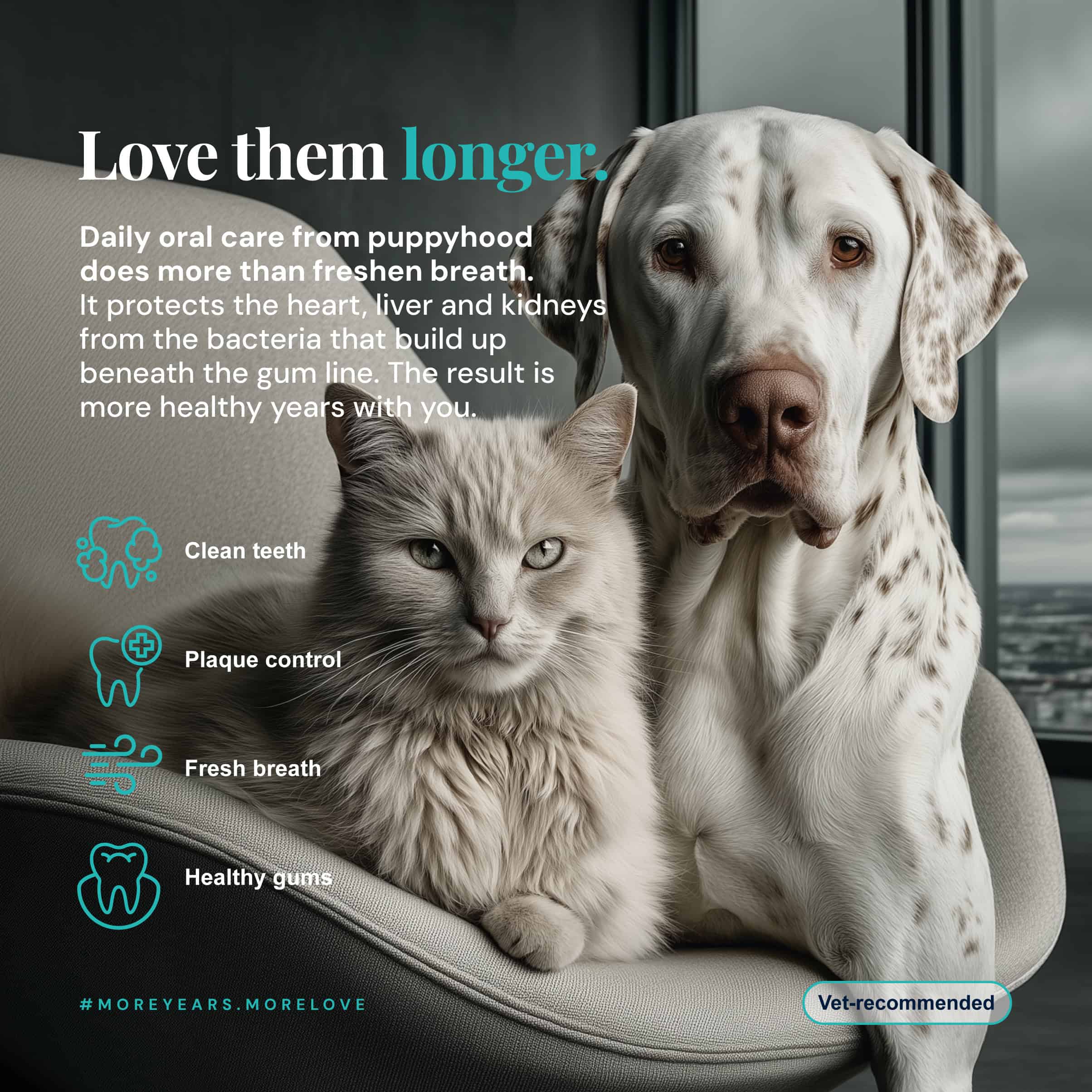 DentaMax pet dental care infographic. Daily oral care for dogs and cats supports heart, liver and kidney health and adds healthy years to their lives. Vet-recommended by NutriFlex.