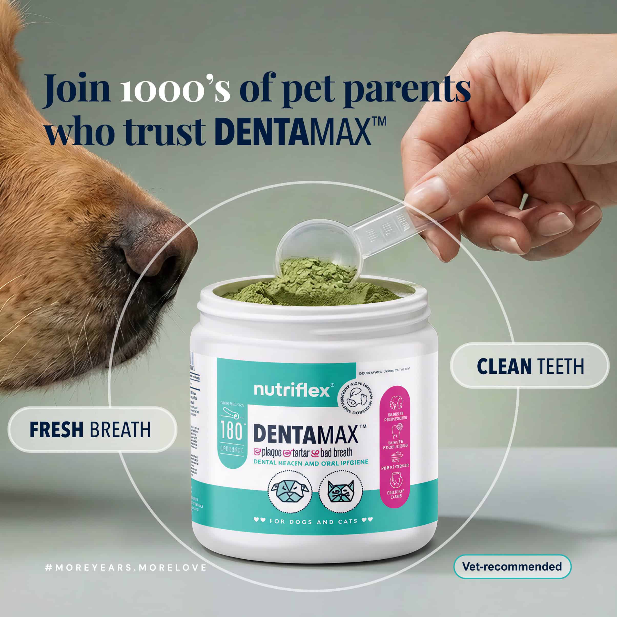 NutriFlex DentaMax lifestyle image. A dog sniffs an open tub of green DentaMax dental powder as a hand lifts a measuring scoop from it. Labelled benefits: fresh breath and clean teeth. Trusted by thousands of pet parents. DentaMax is a dental powder for dogs and cats. Vet-recommended.