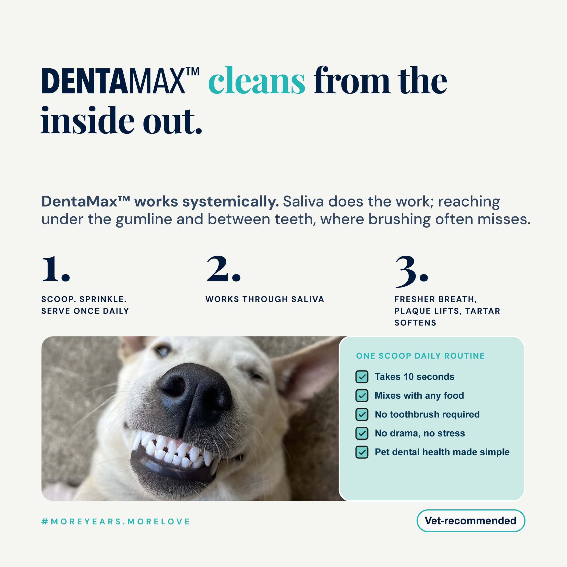 NutriFlex DentaMax infographic showing how the powder cleans from the inside out. A smiling white dog with clean teeth. DentaMax works systemically through saliva, reaching under the gumline and between teeth where brushing misses. Three steps: scoop and serve once daily, works through saliva, then fresher breath as plaque lifts and tartar softens. Takes 10 seconds, mixes with any food, no toothbrush required. Vet-recommended.