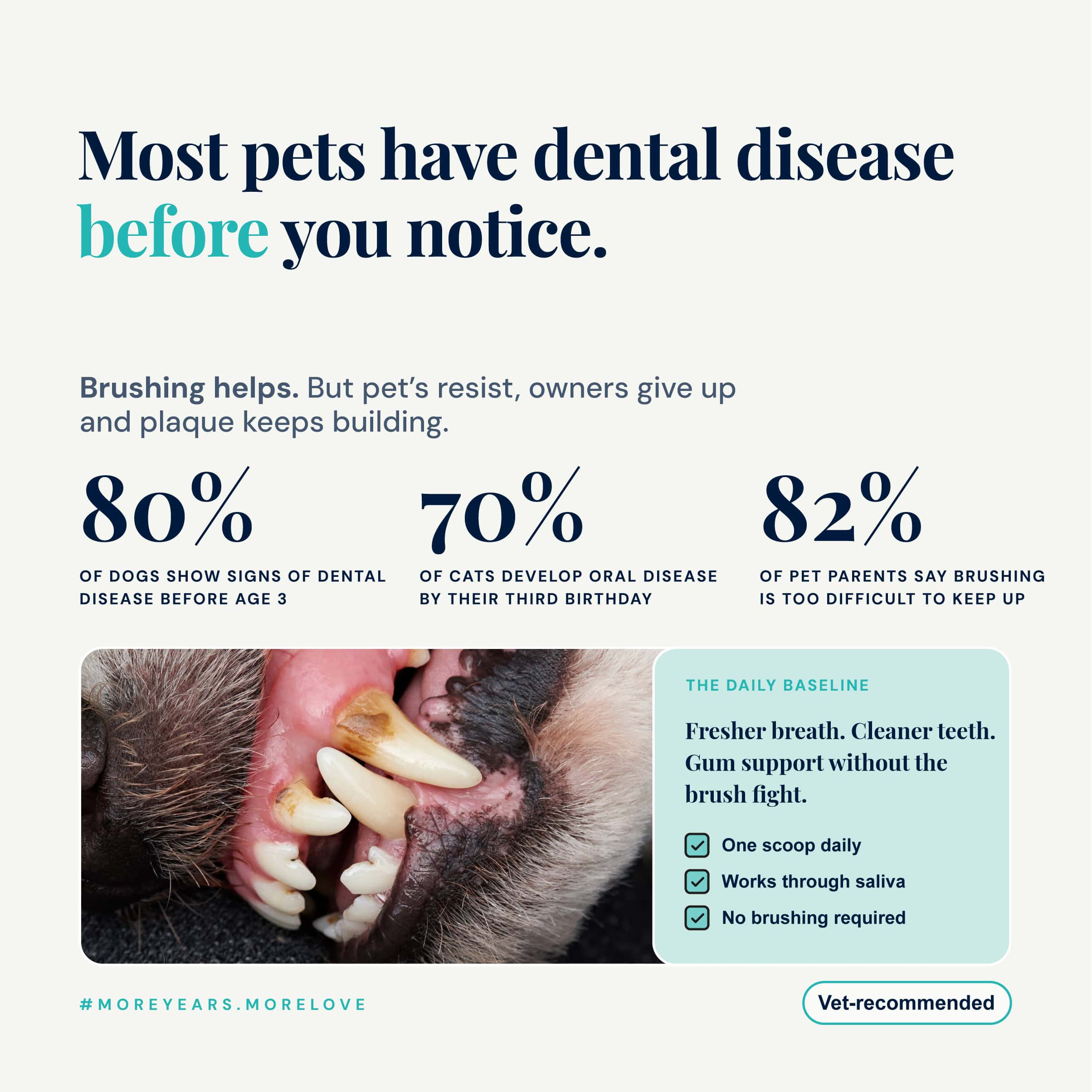 NutriFlex DentaMax infographic on undiagnosed pet dental disease. Close-up of a dog's teeth with tartar and gum inflammation. 80% of dogs show dental disease before age 3, 70% of cats by their third birthday, 82% of owners find brushing too difficult. DentaMax delivers fresher breath and gum support with one scoop daily, no brushing. Vet-recommended.