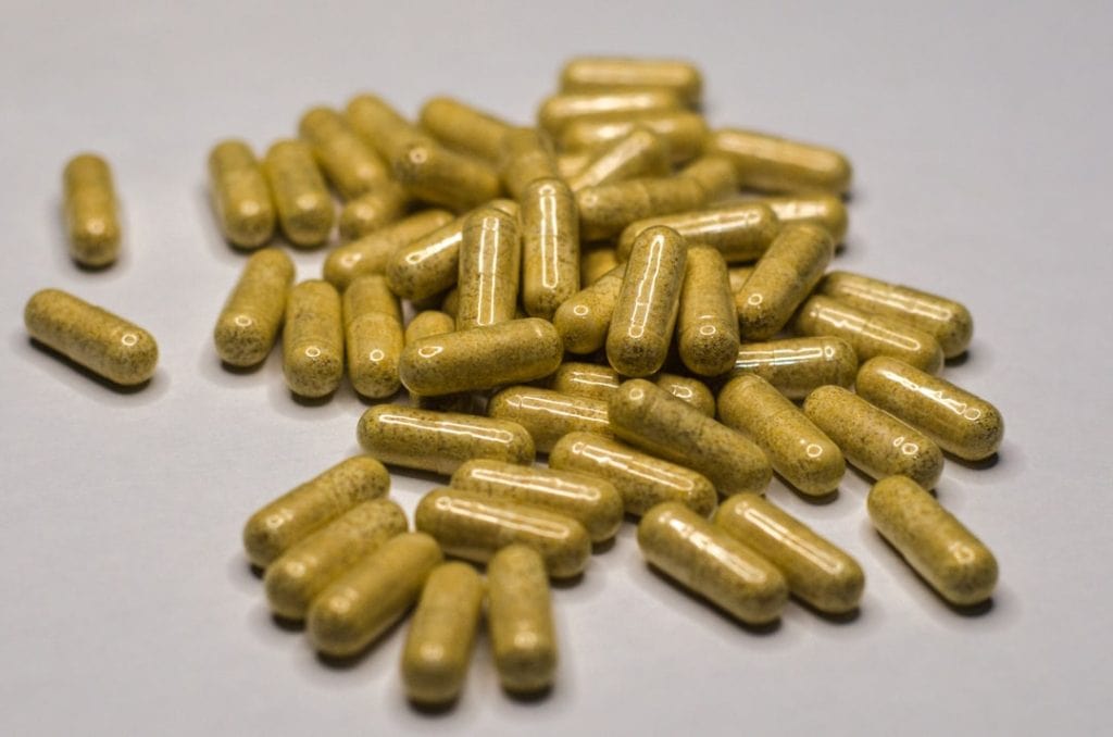 kelp supplement for dogs
