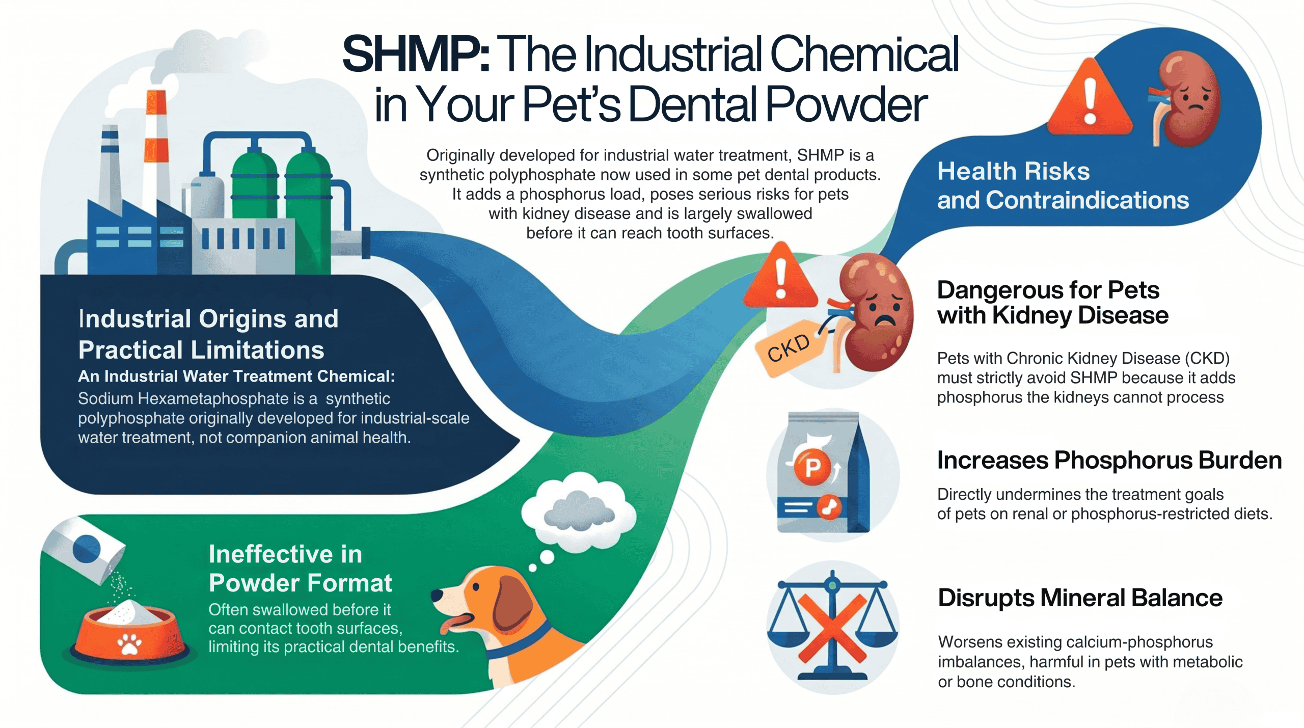  SHMP (sodium hexametaphosphate) in pet dental powder — industrial origins, ineffective in powder format, dangerous for pets with kidney disease and disrupts mineral balance