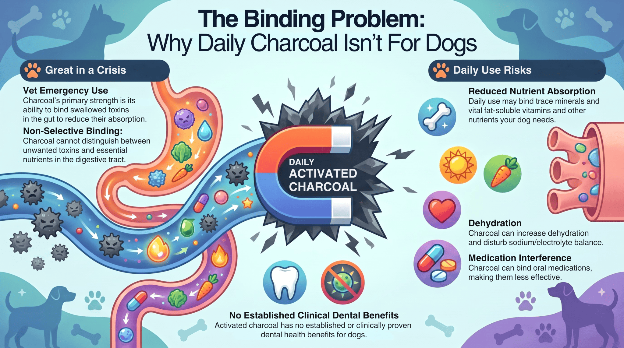 Infographic showing activated charcoal acting like a magnet in a dog's gut, binding both toxins and nutrients, useful in a vet emergency but a poor fit for daily use.