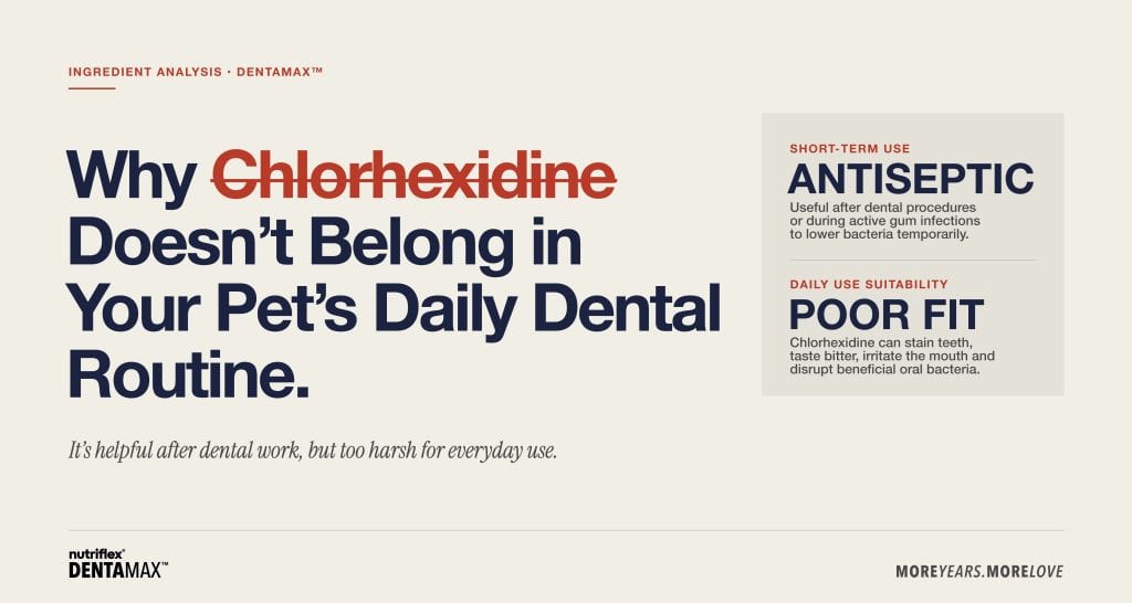 Why chlorhexidine does not belong in your dog or cat’s daily dental routine